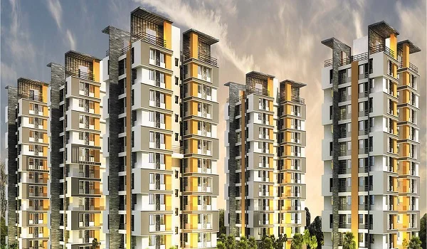 Featured Image of How Many Units are in Purva Weaves