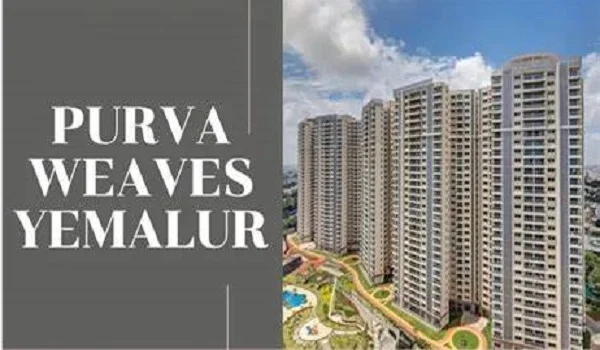 Featured Image of Is It Good to Invest in Purva Weaves