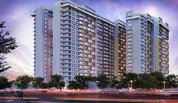 Featured Image of Purva Sunflower