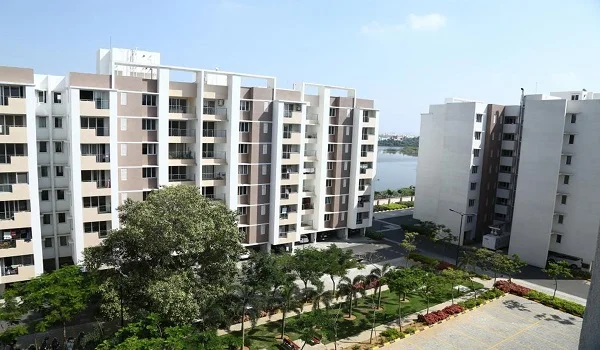 Featured Image of Purva Weaves Completion Date