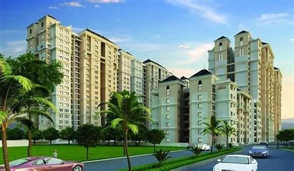 Purva Weaves Launch Date